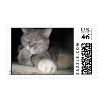 Thelma chomps on paw postage by baugnond Thelma chomps on paw postage
