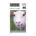 Thelma the Sheep postage by FarmSanctuary Thelma the Sheep postage