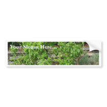  Theme Park Basil bumper stickers