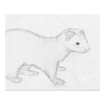 "Theo" Ferret Drawing Poster posters
