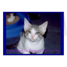 Theodore Notecard
