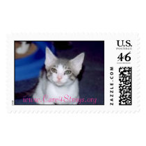 Theodore Postage postage by valkrist Theodore Postage postage