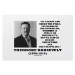 Theodore Roosevelt Despise Bully Coward Voluptuary Custom Stationery