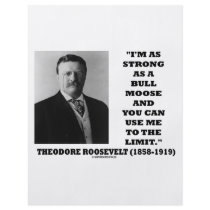 Theodore Roosevelt I'm As Strong As A Bull Moose Flyer