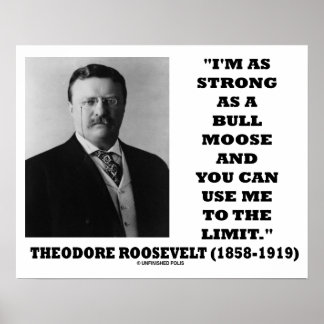 theodore roosevelt on moose