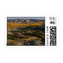 Theodore Roosevelt National Park postage