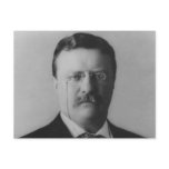 Theodore Roosevelt Portrait Postcards