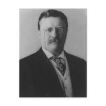 Theodore Roosevelt Portrait postcards