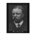 Theodore Roosevelt Postcard