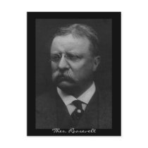 Theodore Roosevelt Postcard