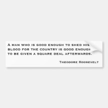 Theodore Roosevelt Quotes 2 Bumper Sticker