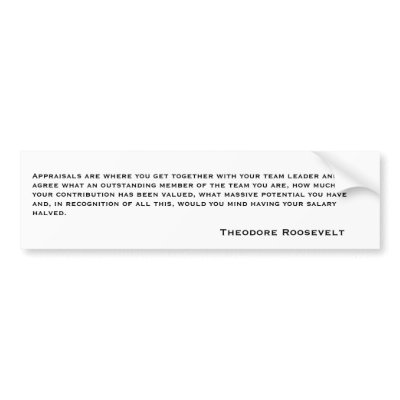 Theodore Roosevelt Quotes 6