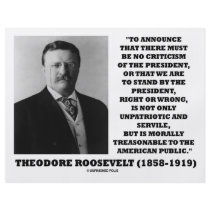 Theodore Roosevelt Treasonable American Public flyers by unfinishedpolis Theodore Roosevelt Treasonable American Public flyers