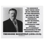 Theodore Roosevelt Treasonable American Public flyers
