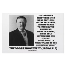 Theodore Roosevelt Treasonable American Public stationery