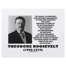 Theodore Roosevelt Waste Destroy Natural Resources flyers by unfinishedpolis Theodore Roosevelt Waste Destroy Natural Resources flyers