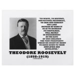 Theodore Roosevelt Waste Destroy Natural Resources flyers