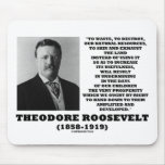 Theodore Roosevelt Waste Destroy Natural Resources Mouse Pads