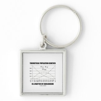 Theoretical Population Genetics Matter Equilibrium keychain