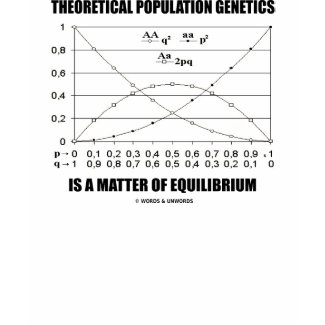 Theoretical Population Genetics Matter Equilibrium shirt