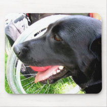 THERAPY DOG PHOTO 5 mousepads by Sofia_Youshi THERAPY DOG PHOTO 5 mousepads