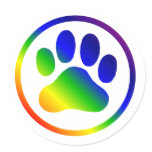 (Therapy) Rainbow Circles Sticker