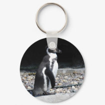 there are my friends! keychains