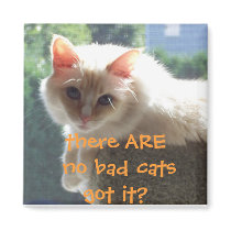There Are No Bad Cats..Got it? Refrigerator Magnet