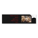 there are no pacts between LIONS and men Bumper Stickers
