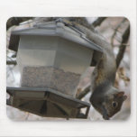 There Goes The Bird Seed Mousepad