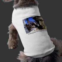 There goes the Neighborhood Pet Clothing pet clothing
