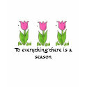 There is a Season t-shirts
