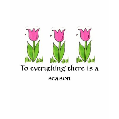 There is a Season Shirt by seashell2