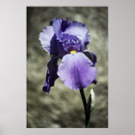 There is Beauty Print