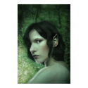 There is Magic in the Forest posters