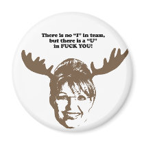 There is no I in Team Magnets