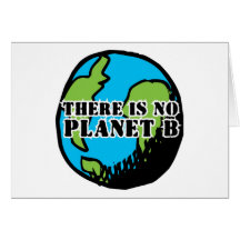 THERE IS NO PLANET B CARDS