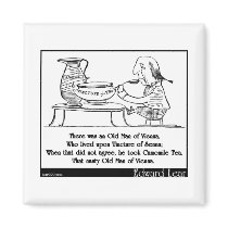 There was an Old Man of Vienna Fridge Magnet