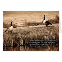 ThereisnownocondemnationZazzle cards