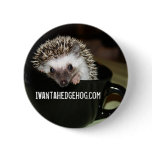 There's a hedgehog in my coffee button