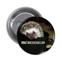 There's a hedgehog in my coffee button