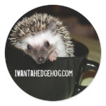There's a Hedgehog in my coffee Sticker