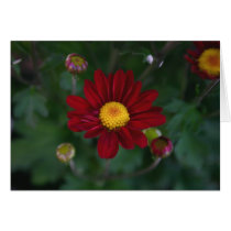 There's a mum in the air... cards by lioneyes There's a mum in the air... cards
