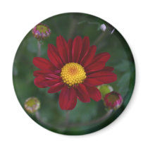 There's a mum in the air... magnets by lioneyes There's a mum in the air... magnets