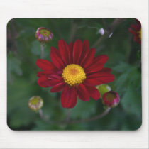 There's a mum in the air... mousepads