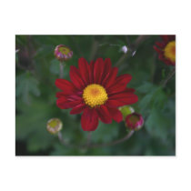 There's a mum in the air... postcards