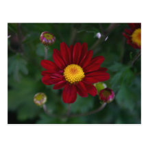 There's a mum in the air... postcards