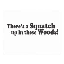 There's A Squatch Up In These Woods! Multiple Prod Post Card