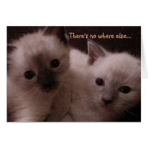 There's No Where Else Note Card cards