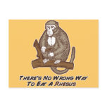 Theres No Wrong Way To Eat A Rhesus